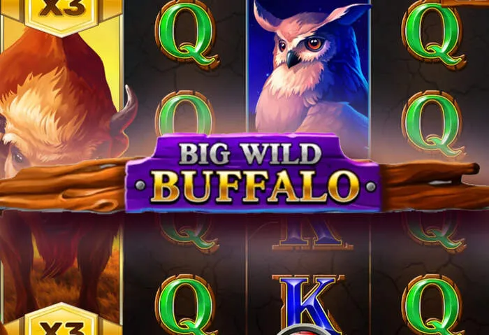 Vorteile der Casino Anmeldung und Willkommensbonus Leitfaden